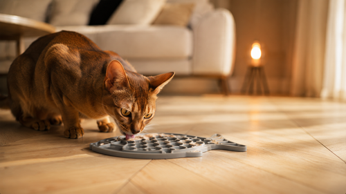 Tapis de Léchage Anti-Stress — Chien & Chat